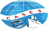 cases